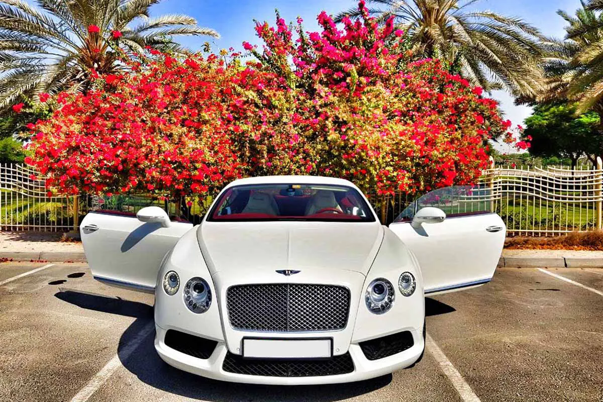 Bentley Gt